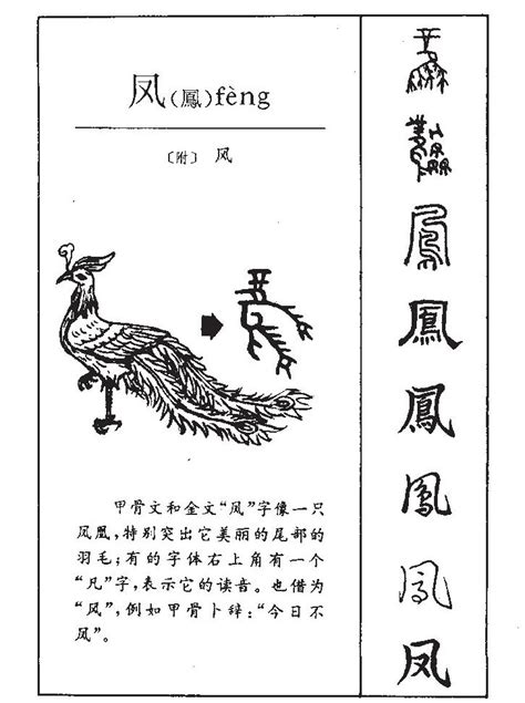 鳳凰 字|凰（汉语汉字）